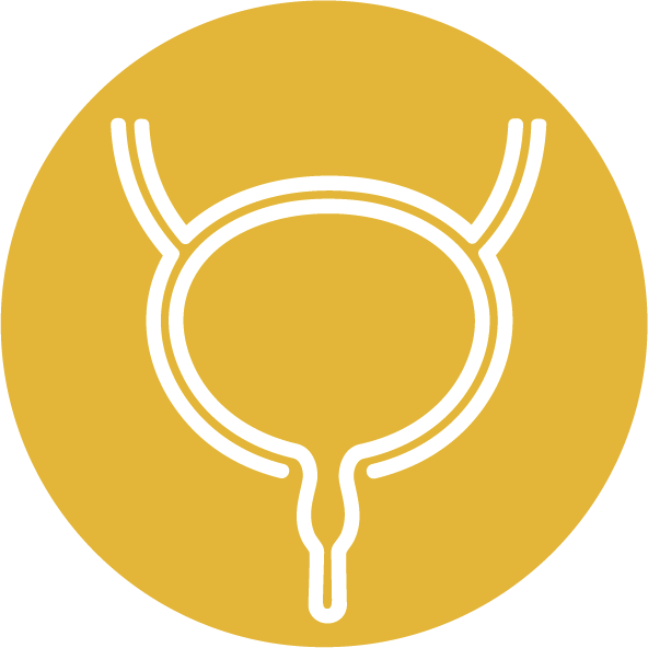 Einfache Harnwegsinfektion