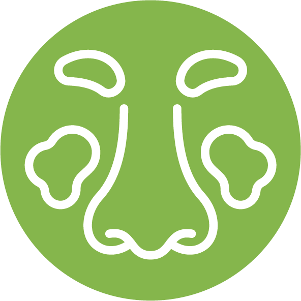 Akute Nasennebenhöhlenentzündung