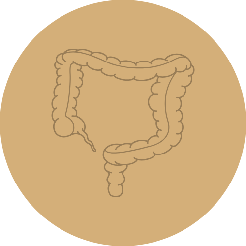 Darmkrebs